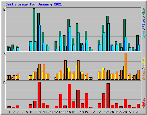 Daily usage for January 2021