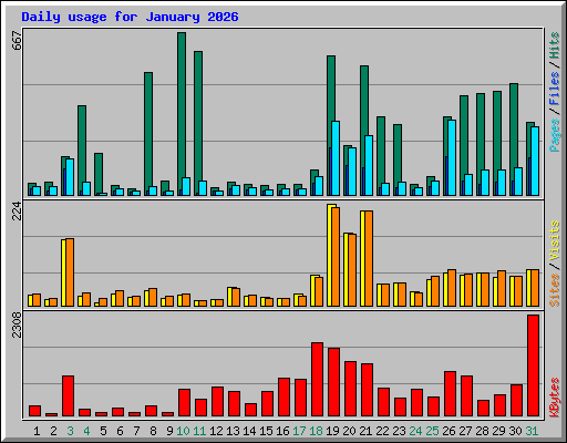 Daily usage for January 2026