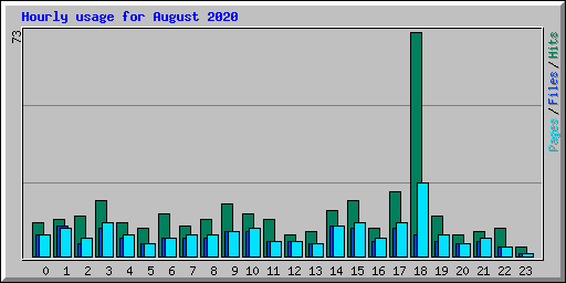 Hourly usage for August 2020