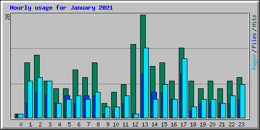 Hourly usage for January 2021