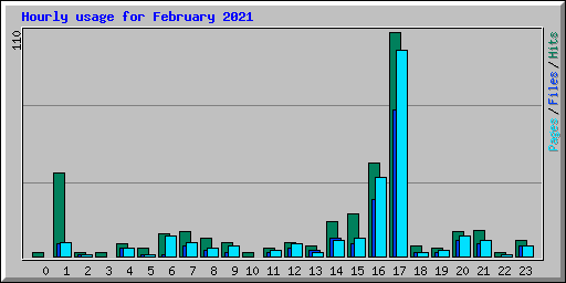 Hourly usage for February 2021