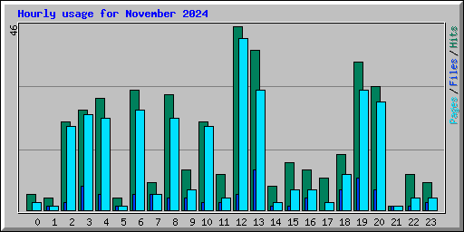 Hourly usage for November 2024