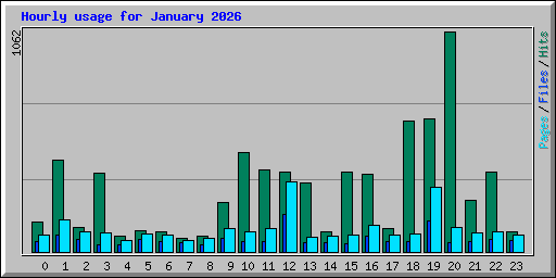 Hourly usage for January 2026