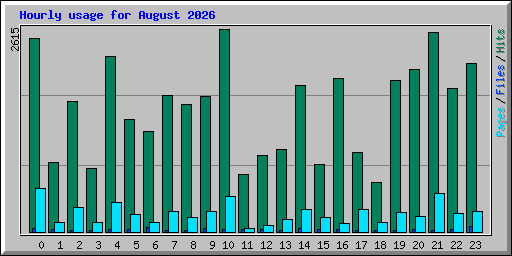Hourly usage for August 2026